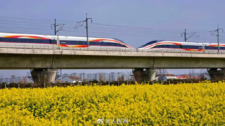 春日花海列车已发车 春日花海列车已发车