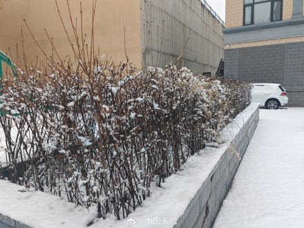 河北崇礼又下雪了