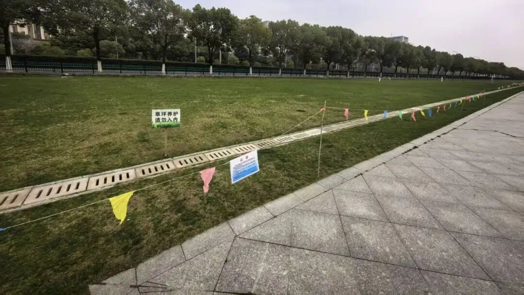 上海一处草坪火了!网友却吵翻,当地紧急发文:停止开放! 上海一处草坪火了!网友却吵翻,当地紧急发文:停止开放!