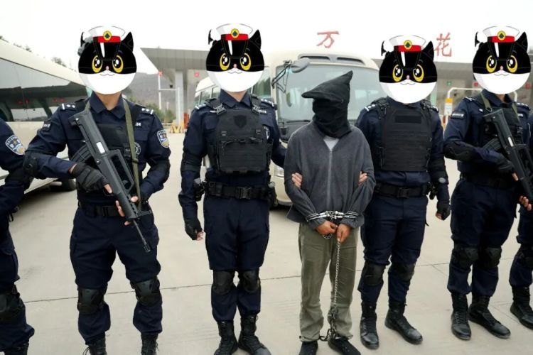 历时八年!陕西警方成功抓获涉毒二级“钉子”逃犯 历时八年!陕西警方成功抓获涉毒二级“钉子”逃犯