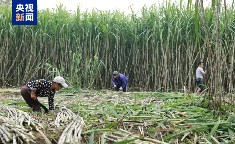 张雪机车的冠军赛车上,这六个字火了! 张雪机车的冠军赛车上,这六个字火了!