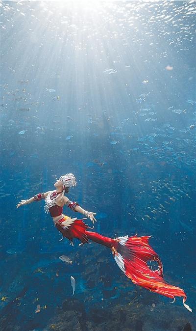 当一条“美人鱼”是什么感觉 当一条“美人鱼”是什么感觉