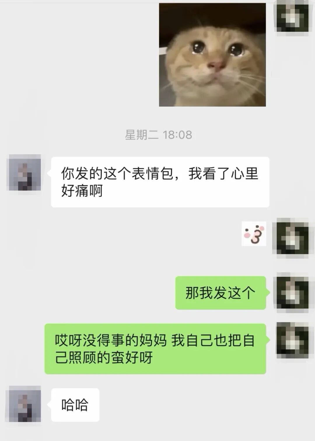 只要我不回妈妈消息,就会被小猫“魔法攻击”…… 只要我不回妈妈消息,就会被小猫“魔法攻击”……