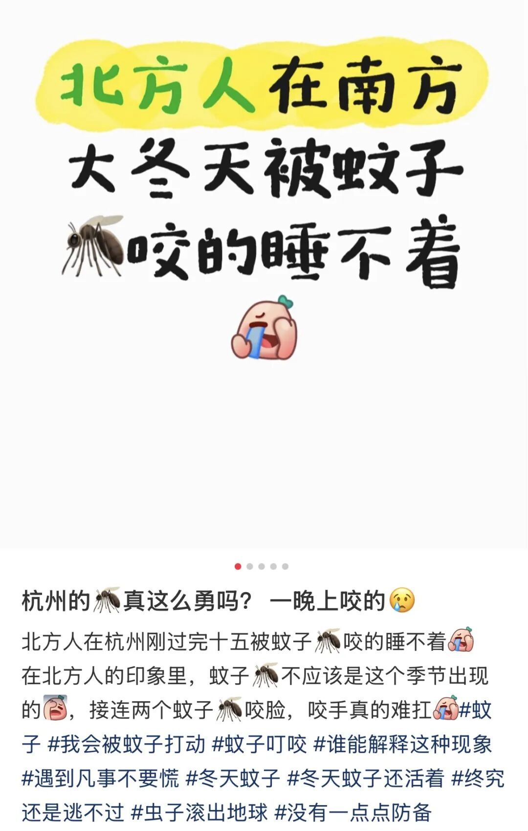 今年蚊子可能迎来史诗级加强！不少人蒙了：根本睡不着，这才3月啊......中疾控紧急提醒