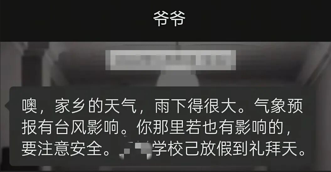 只要我不回妈妈消息,就会被小猫“魔法攻击”…… 只要我不回妈妈消息,就会被小猫“魔法攻击”……