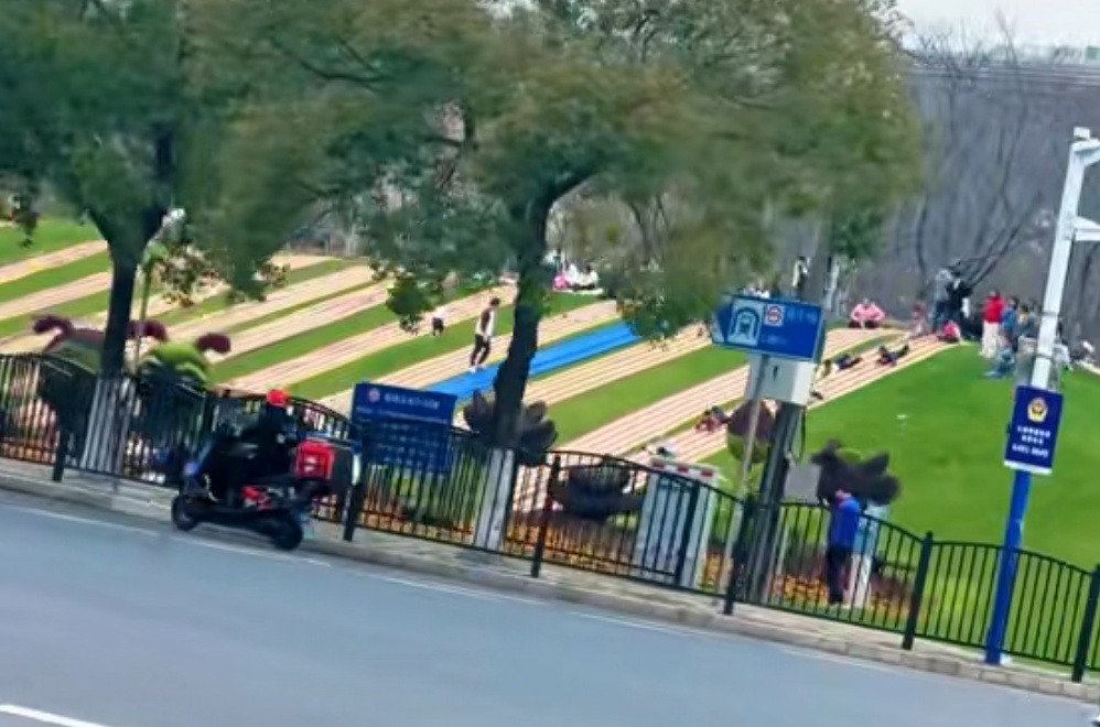 上海一处草坪火了!网友却吵翻,当地紧急发文:停止开放! 上海一处草坪火了!网友却吵翻,当地紧急发文:停止开放!