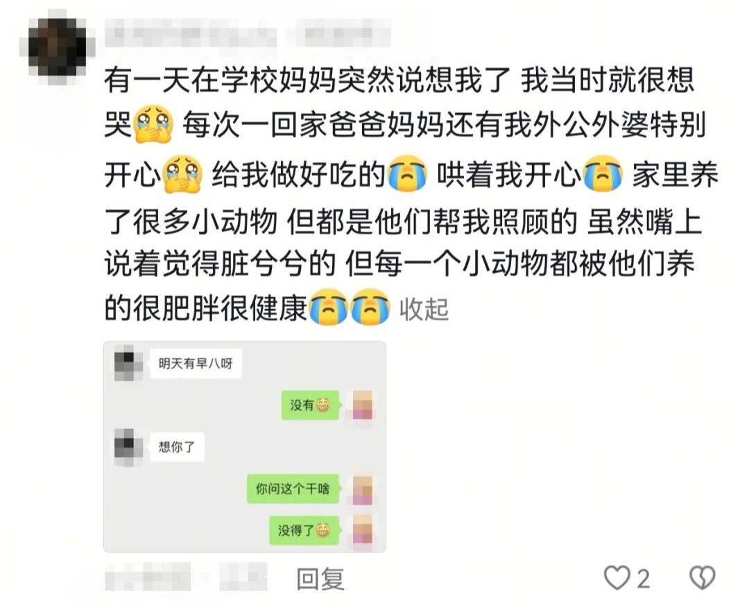 只要我不回妈妈消息,就会被小猫“魔法攻击”…… 只要我不回妈妈消息,就会被小猫“魔法攻击”……