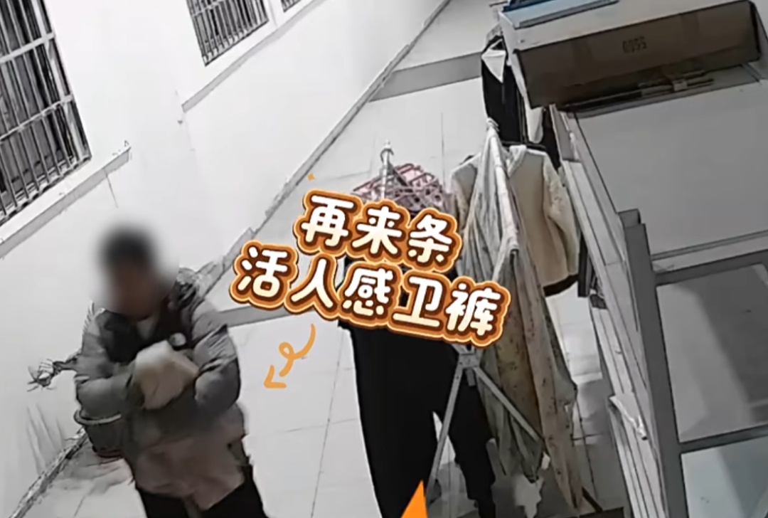 “每天穿什么取决于邻居晒什么”，男子公然盗窃被刑拘，女士内裤都不放过……