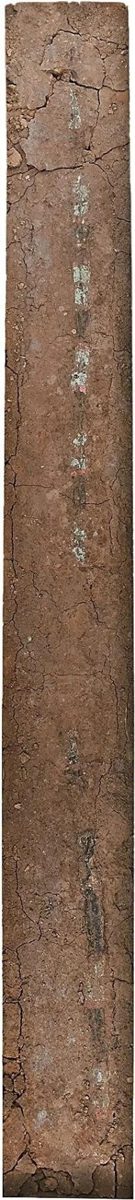 “一寸光阴”究竟是多久？答案藏在4000年前→