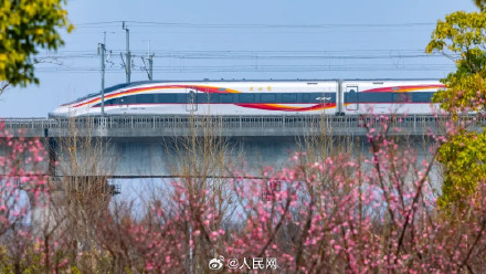 春日花海列车已发车 春日花海列车已发车