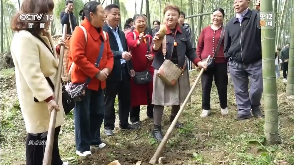 从春天出发 春日经济供需两旺活力足 从春天出发 春日经济供需两旺活力足