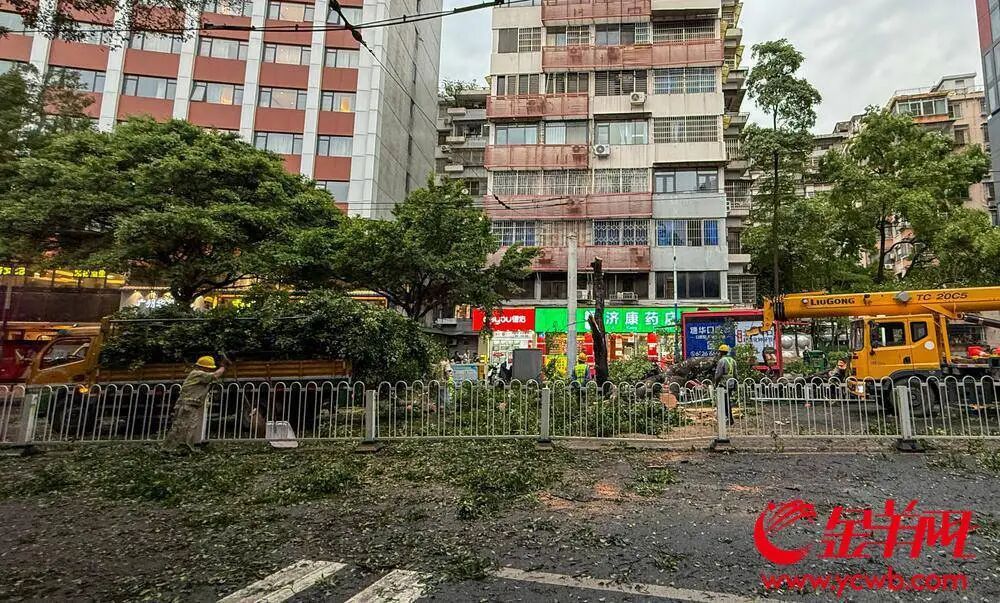 广东雨水仅“休息”两天,预计清明前再次“雨纷纷” 广东雨水仅“休息”两天,预计清明前再次“雨纷纷”