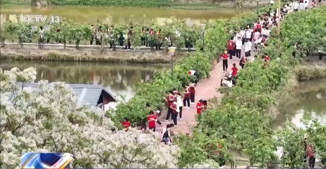 最长连休8天!多地陆续宣布 最长连休8天!多地陆续宣布