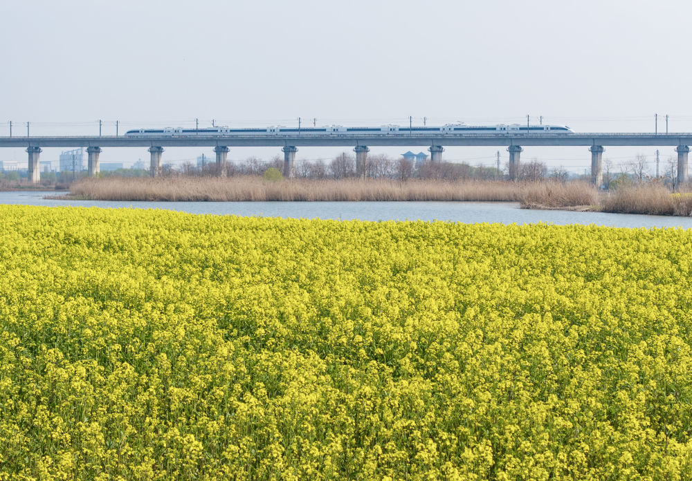 开往春天的列车，下一站：春和景明