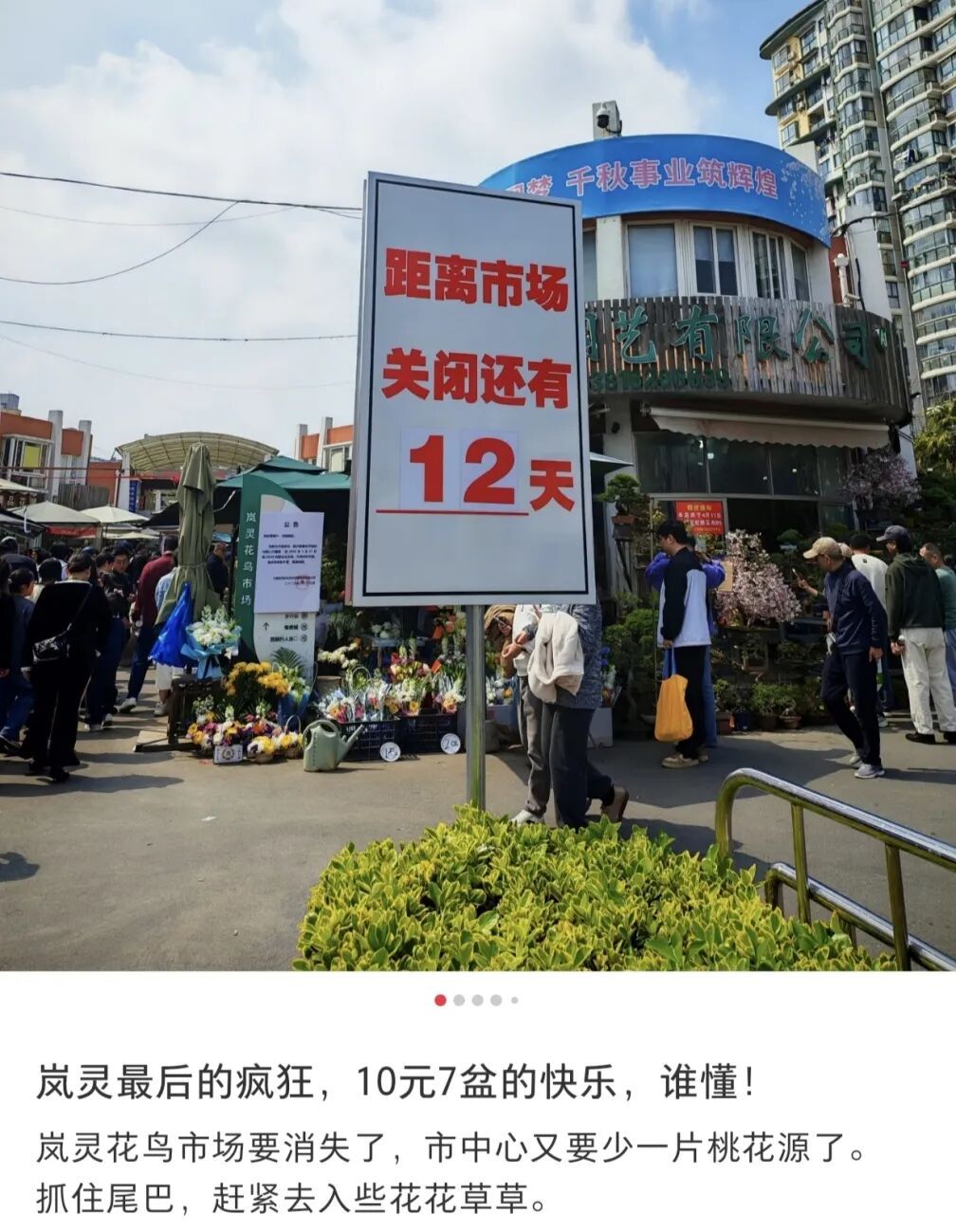 确认即将关闭!上海规模最大,天天有人赶来"捡漏"!已启动搬迁️ 确认即将关闭!上海规模最大,天天有人赶来"捡漏"!已启动搬迁️