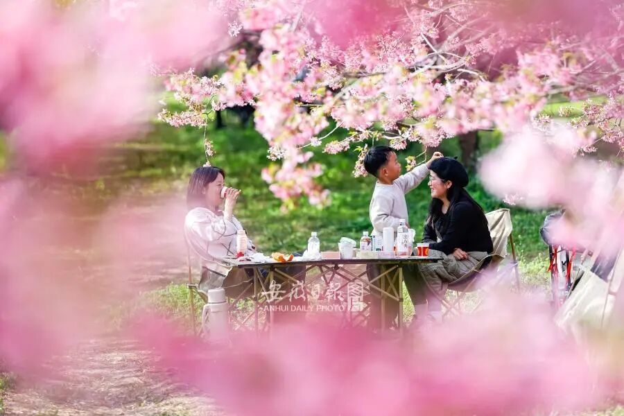 今天,安徽首个6天“加长版”春日假期来了! 今天,安徽首个6天“加长版”春日假期来了!