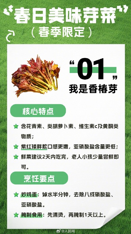 收藏！春日芽菜这样吃健康美味