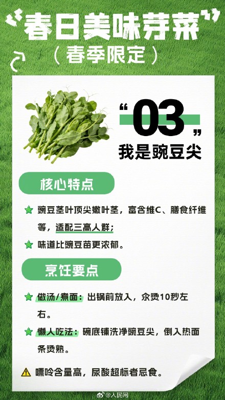 收藏！春日芽菜这样吃健康美味