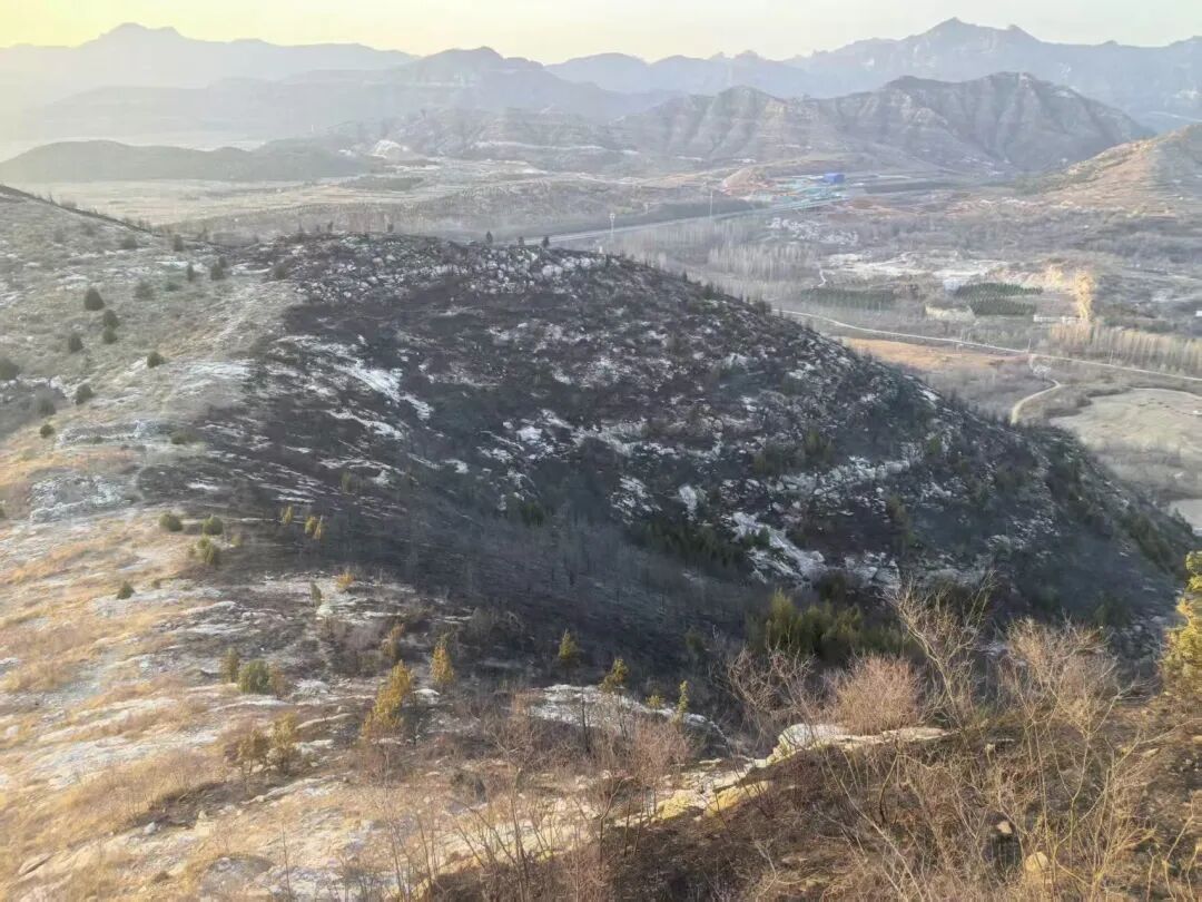 北京一男子祭祀引发火灾，获刑8个月