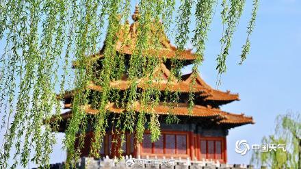 定格最美瞬间！北京故宫角楼春日大片上新啦