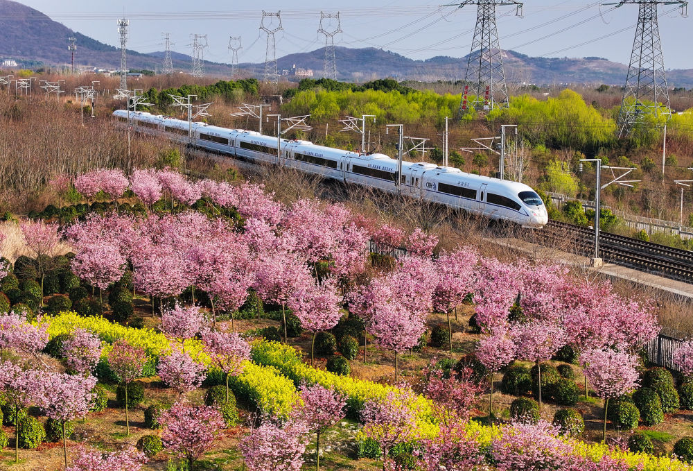 开往春天的列车，下一站：春和景明