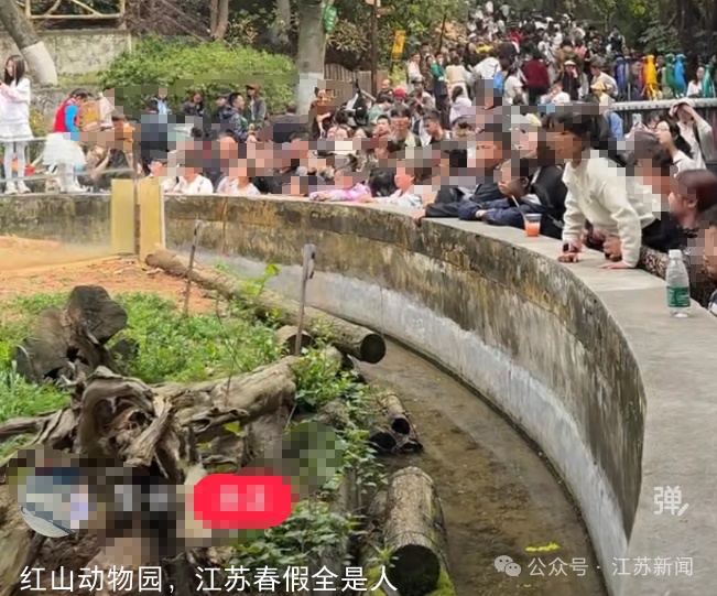 这是今天的机场、高铁站，全国请注意：江苏春假大军已出动！