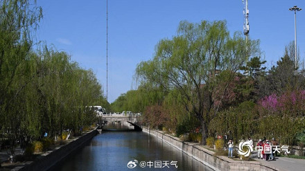 四月开场 北京蓝天暖阳 海棠花溪春意浓