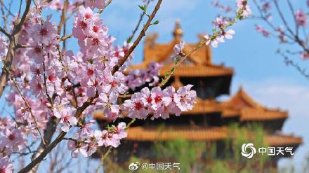 定格最美瞬间！北京故宫角楼春日大片上新啦