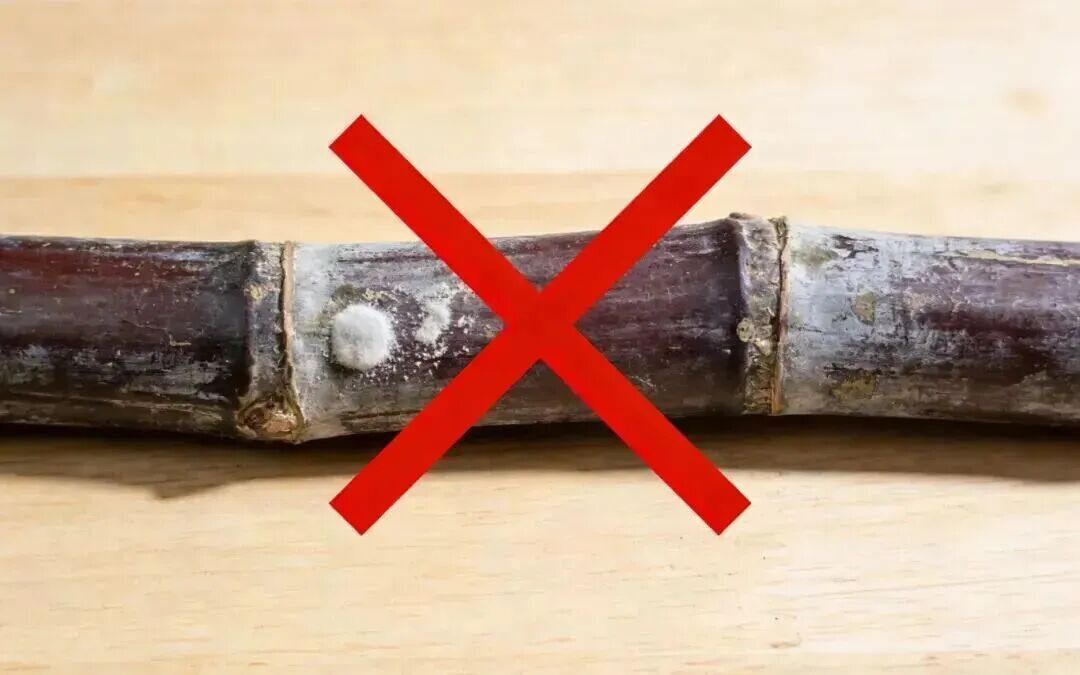 别吃！赶紧扔掉！清明前后“毒过蛇”，很多深圳人爱吃