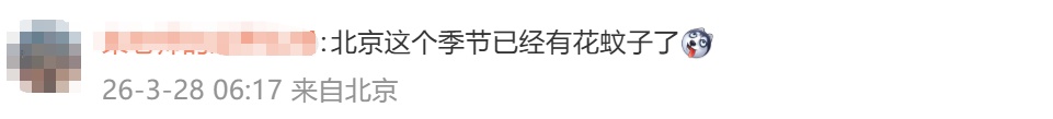 今年蚊子可能迎来“史诗级加强”?网友:3月就被叮到睡不着......疾控部门提醒! 今年蚊子可能迎来“史诗级加强”?网友:3月就被叮到睡不着......疾控部门提醒!