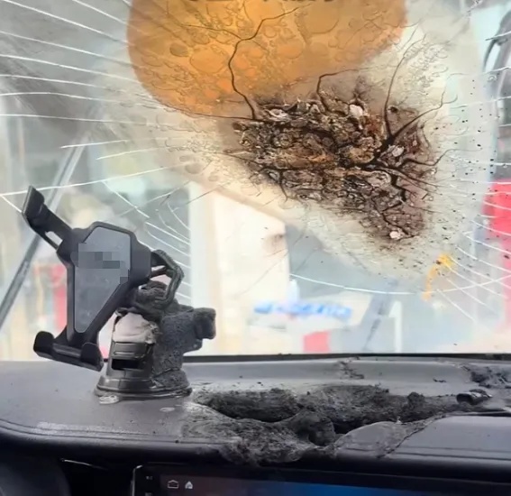 这些东西放车里，会爆炸