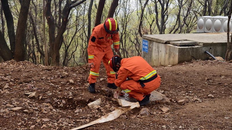 江苏常州:人防技防协同 守护4800亩山林防火安全 江苏常州:人防技防协同 守护4800亩山林防火安全