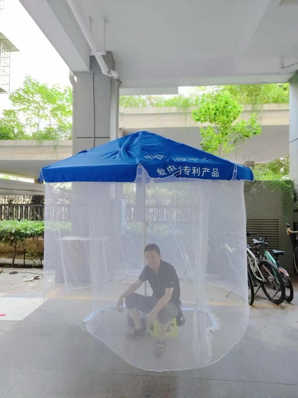 今年蚊子为何提前出现了?专家:气温偏高,降雨频繁为蚊虫繁殖创造有利条件 今年蚊子为何提前出现了?专家:气温偏高,降雨频繁为蚊虫繁殖创造有利条件