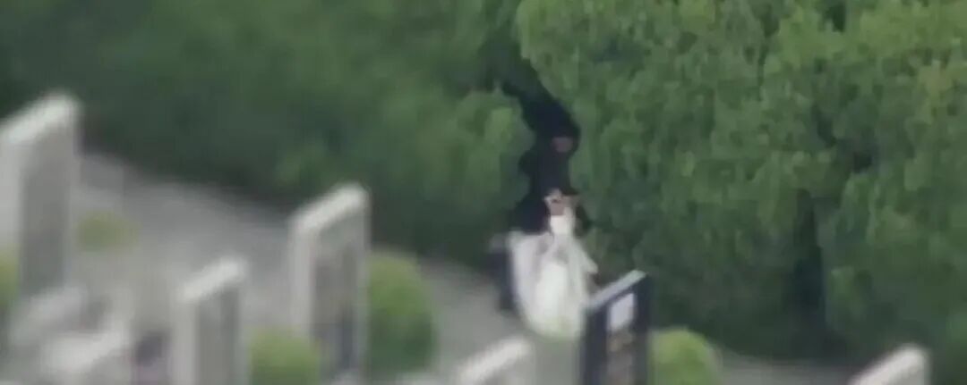 两人在墓园盗窃鲜花转售他人，被上海警方抓获！网友怒了：太缺德！