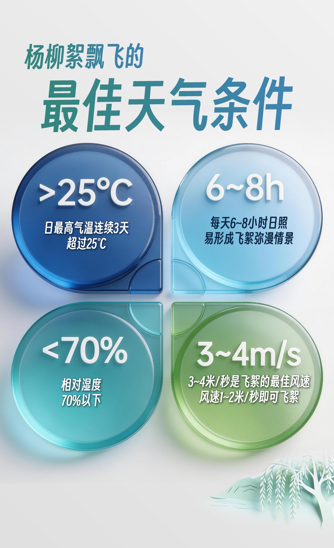 河南杨柳絮时间线公布，防护指南请收好→