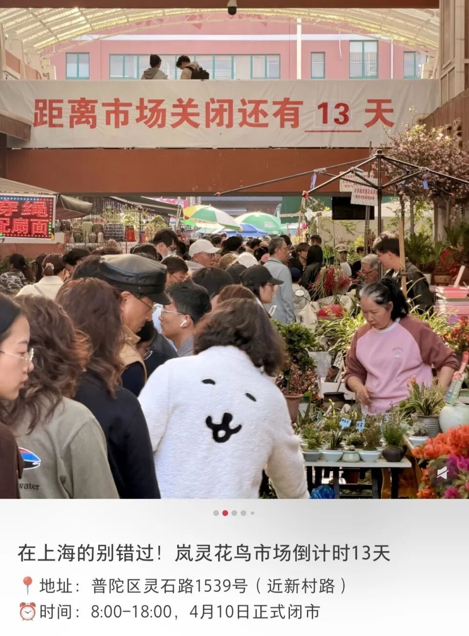 确认即将关闭!上海规模最大,天天有人赶来"捡漏"!已启动搬迁️ 确认即将关闭!上海规模最大,天天有人赶来"捡漏"!已启动搬迁️