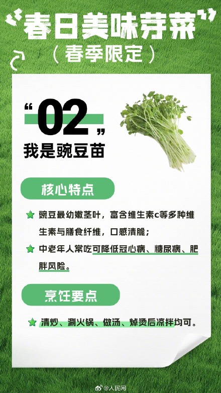 收藏！春日芽菜这样吃健康美味