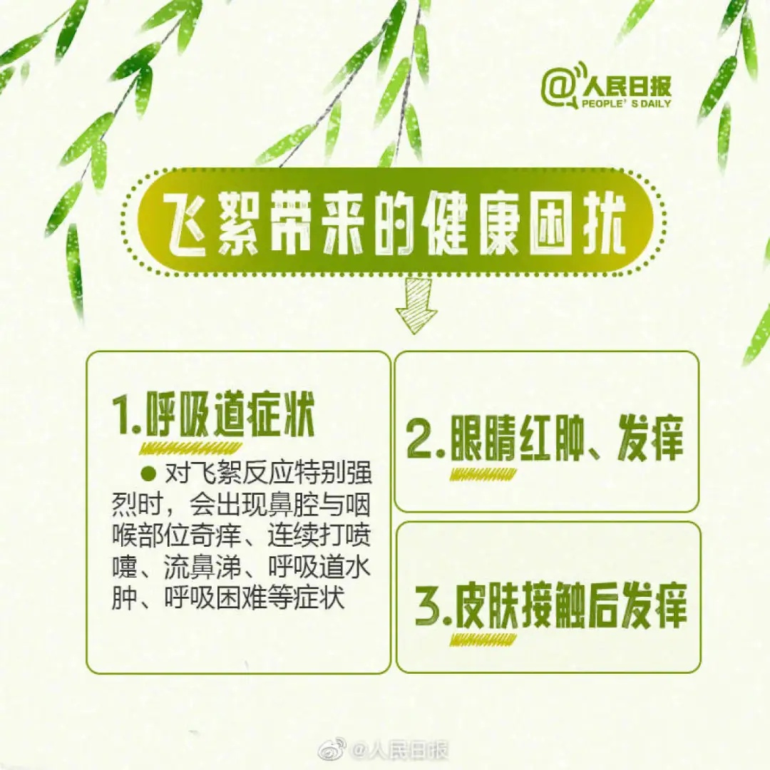 飞絮预警！2026河南杨柳絮飘飞预警地图出炉！注意防范