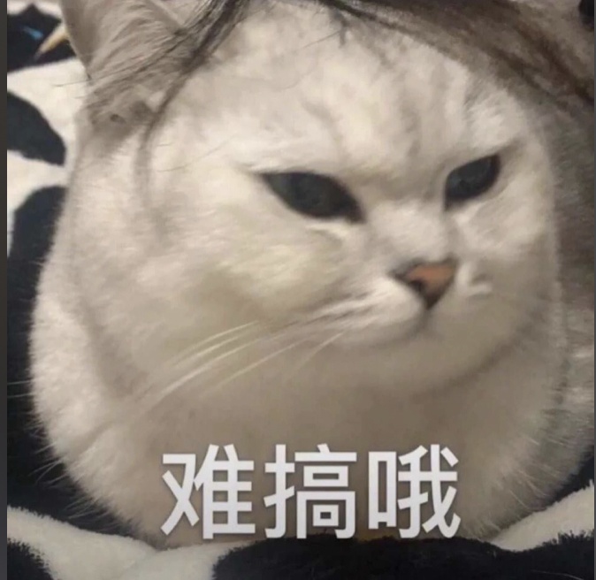 北京网友：才三月就有蚊子了？中疾控提醒！