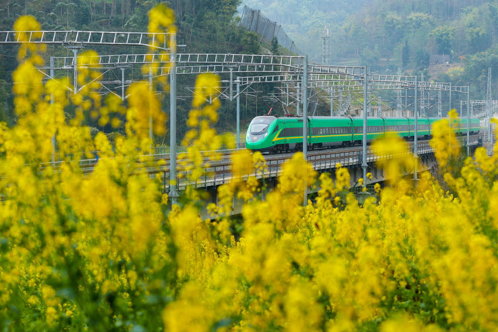 开往春天的列车，下一站：春和景明