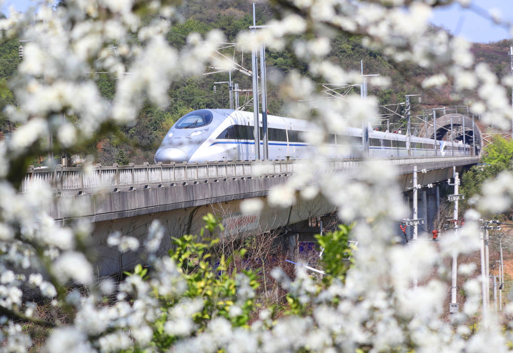 开往春天的列车，下一站：春和景明