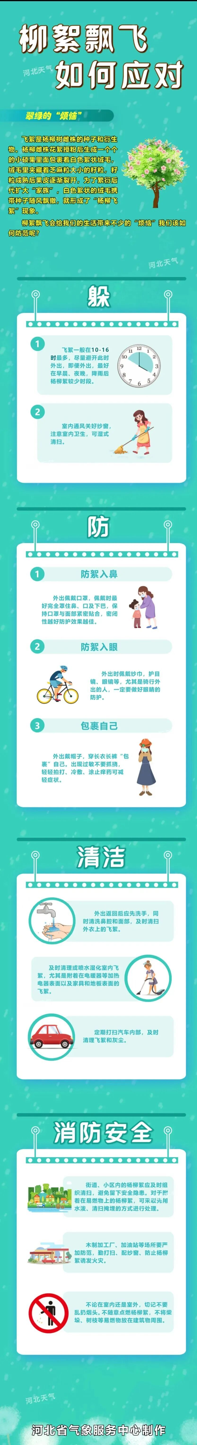 4月4日，石家庄始飞~如何应对杨柳飘絮→