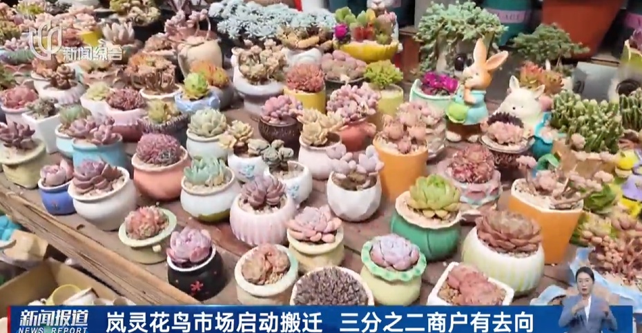 确认即将关闭!上海规模最大,天天有人赶来"捡漏"!已启动搬迁️ 确认即将关闭!上海规模最大,天天有人赶来"捡漏"!已启动搬迁️