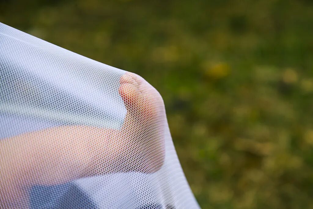 今年蚊子提前进入活跃期，中疾控提醒→