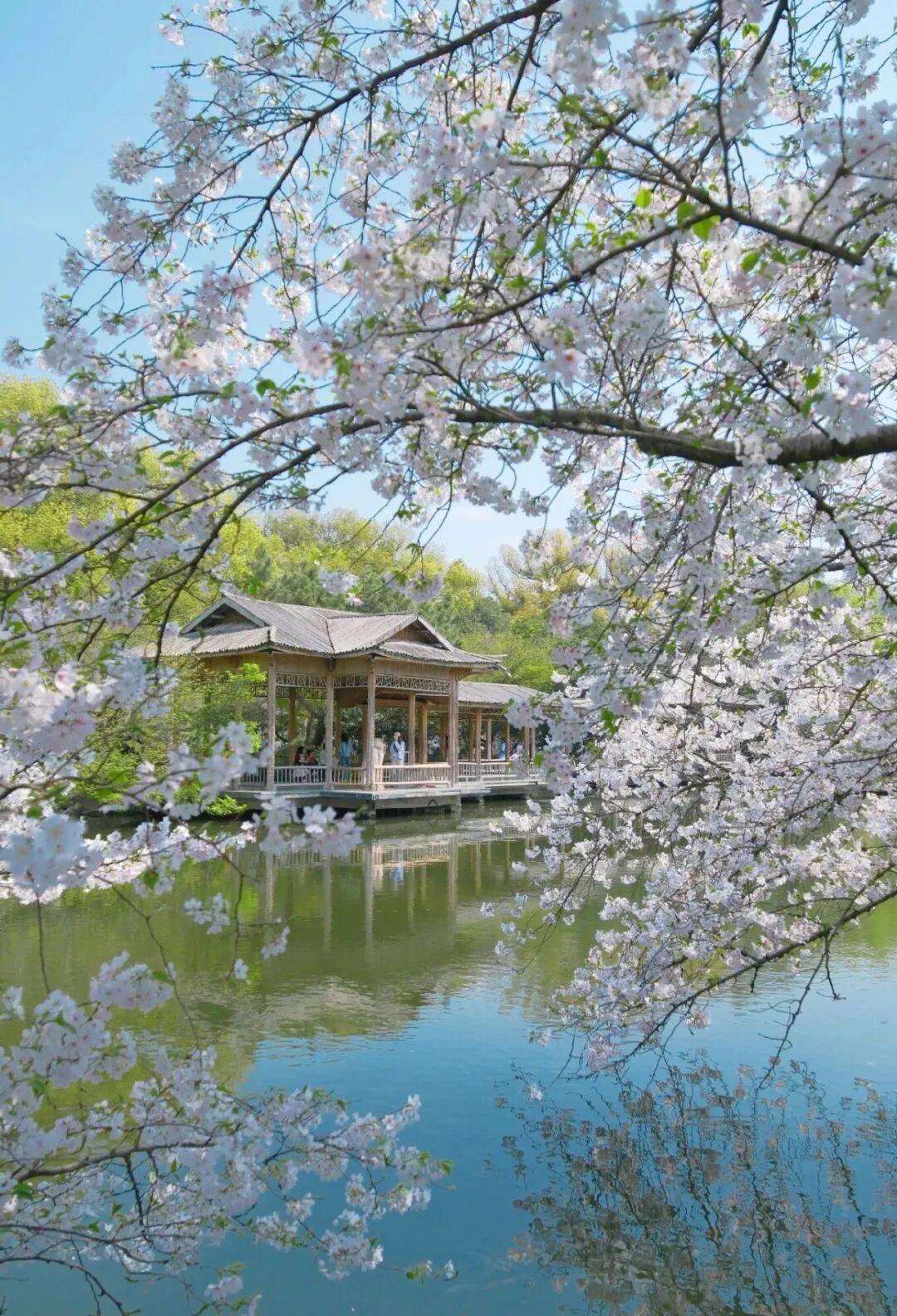 飙到27℃，杭州人注意，大反转来了...