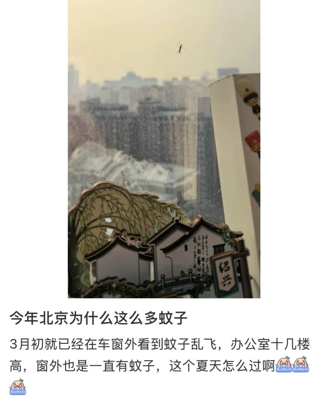 北京网友：才三月就有蚊子了？中疾控提醒！