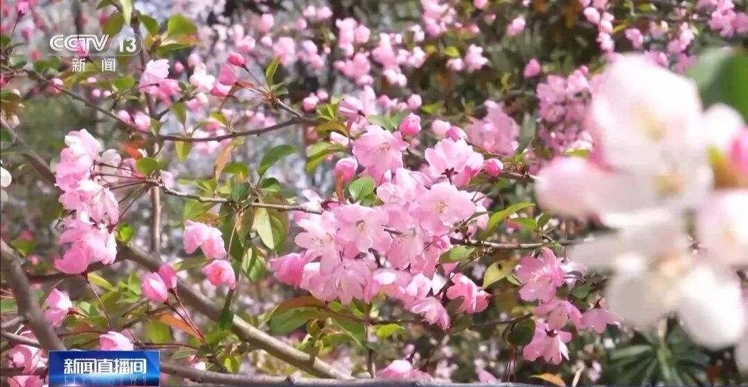 最长连休8天!多地陆续宣布 最长连休8天!多地陆续宣布