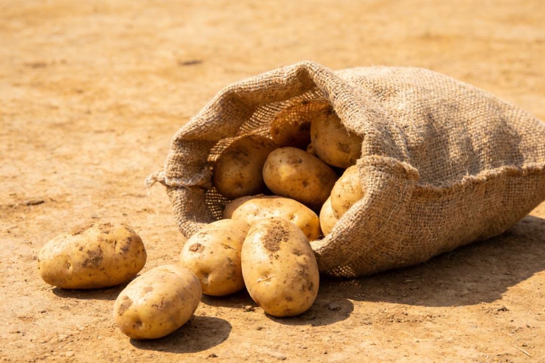减肥不必饿肚子！这10种食物让你吃得饱，瘦得好→