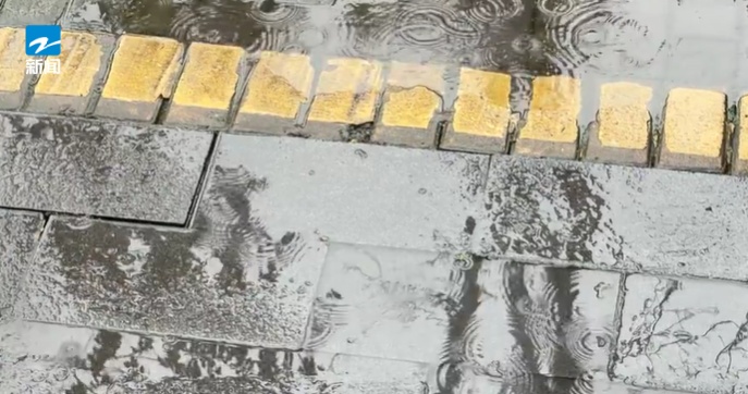 今年蚊子“史诗级加强”？不少人凌晨起来抓蚊子！疾控中心提醒：抓住防蚊黄金期