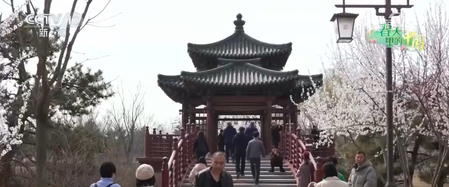 出门即见景、处处可赏花 雄安宜居生态底色亮丽园林品质提升